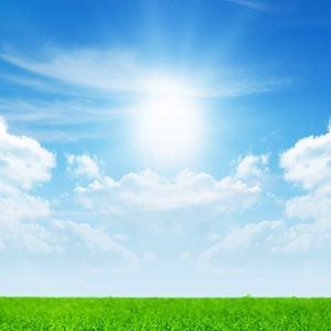 Meet your Posher, Ray